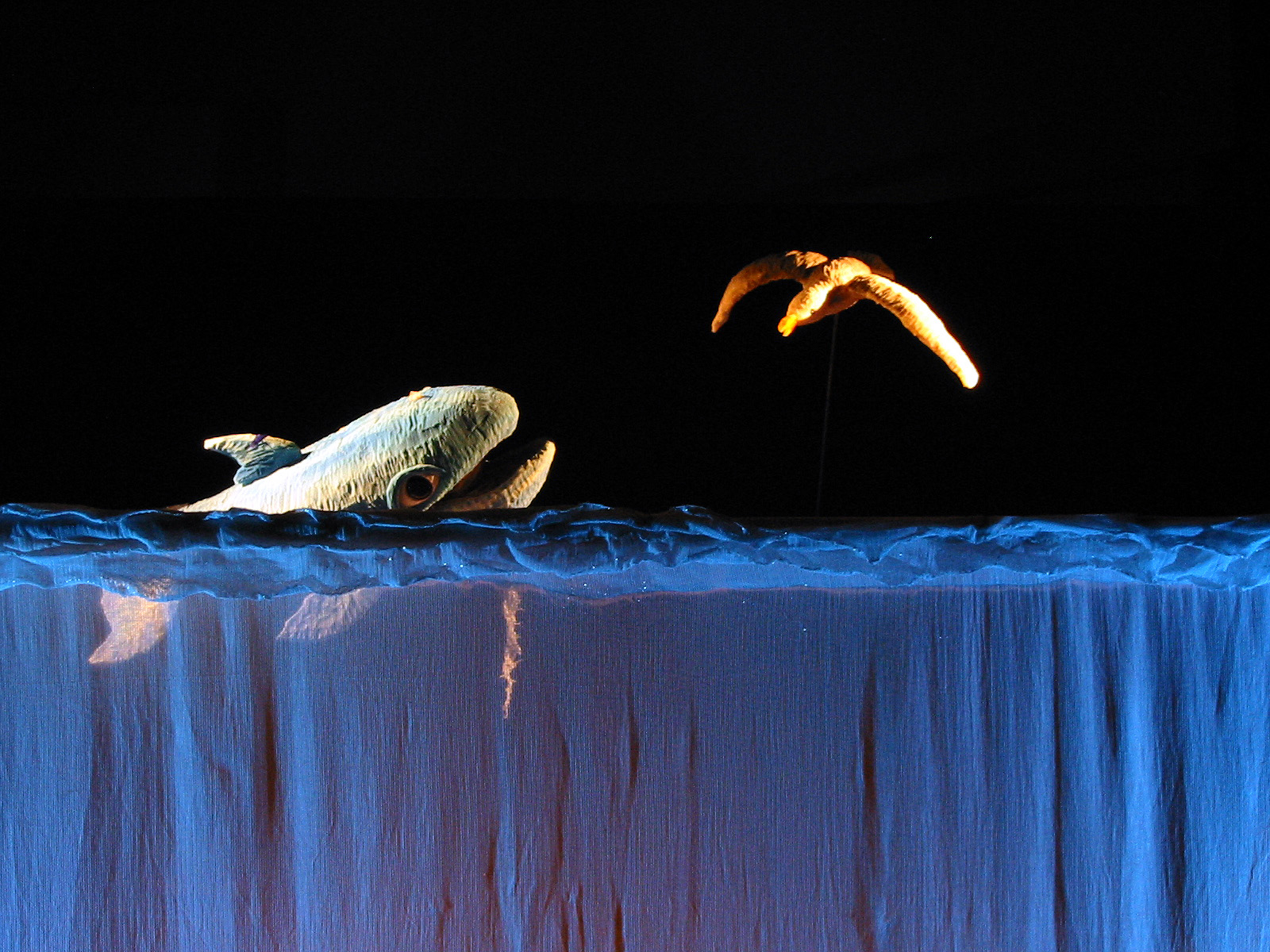 L’audio-libro di Azzurra Balena