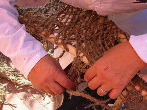 Costruzione del mulino per il nostro Don Chisciotte e la Luna